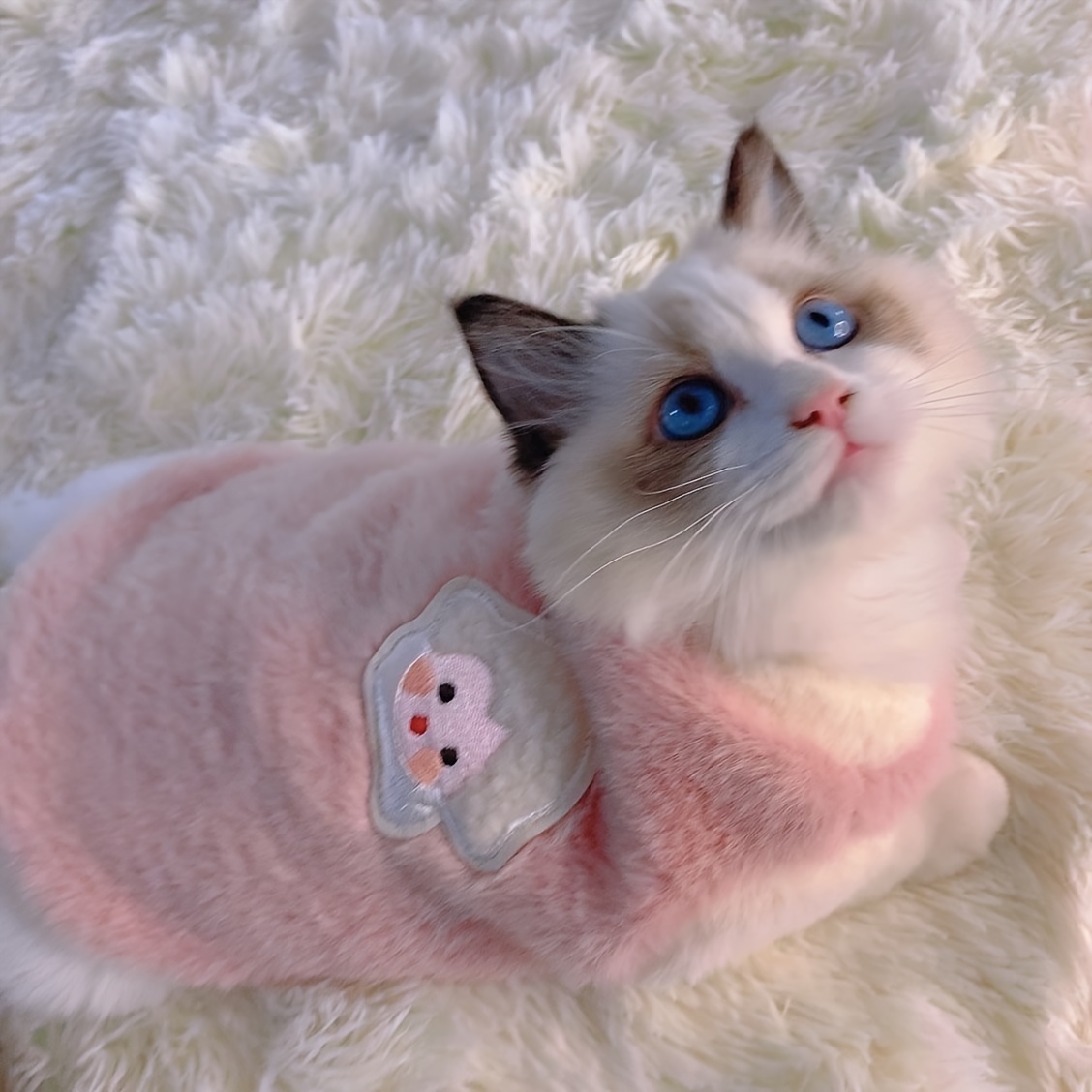 

Pet Clothes Autumn And Winter Clothes Teddy Bear Pet Clothes Cat -friendly Warm Cute Four-legged Fur Coat