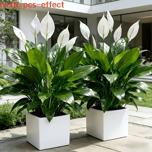 2pcs artificial simulation green pothos white white heart shaped flowers with and green leaves home indoor outdoor decoration hotel decor suitable for christmas