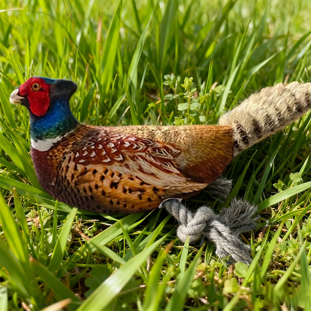 Image of Plush Toy For Cats And Dogs: Lifelike Pheasant, Tear-resistant Knotted Toy, Washable, Interactive Companion Toy For Pets