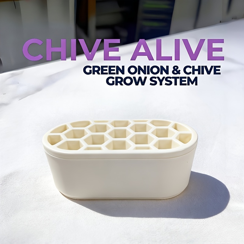 1pc Scallion Kit - Green Onions Indoors With Setup, No Skills Needed | For Balcony, Windowsill & Small Spaces | Regenerate Green Onions Quickly