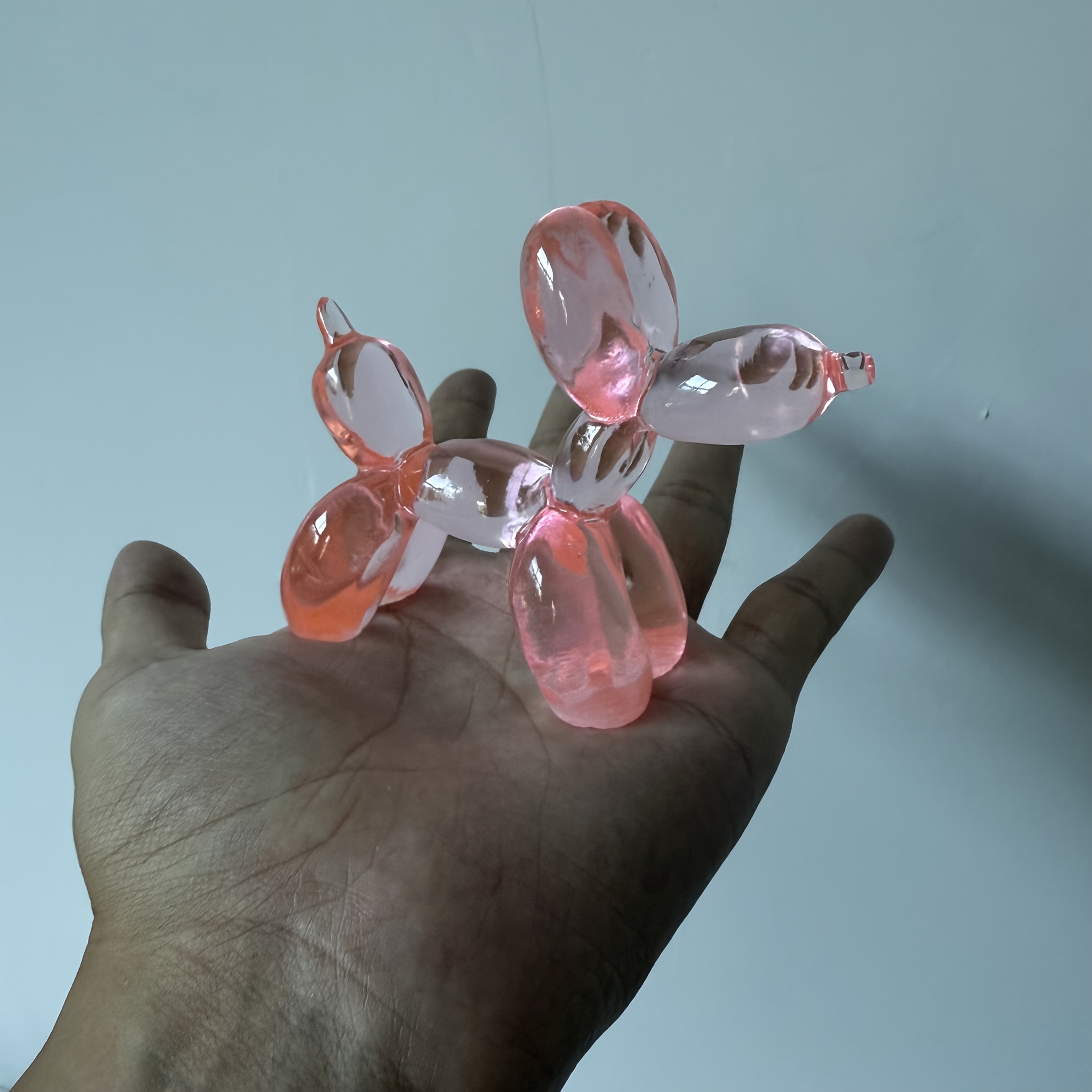 TEMU 1pc Ornement Décoratif Transparent en Résine pour Chien, Chambre, Salon, Entrée