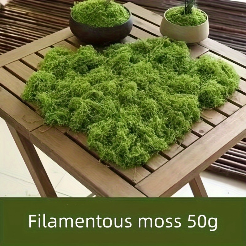 Tappetino Di Muschio Artificiale Da 25g/50g, Decorazione Finta Micro  Paesaggio Di Muschio Verde, Per Decorazioni Di Giardini, Terrazze, Prati,  Bonsai