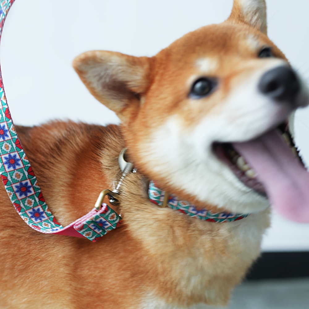 6 Colors/5 Sizes Pet Dog Collar and Leash Set, Customizable