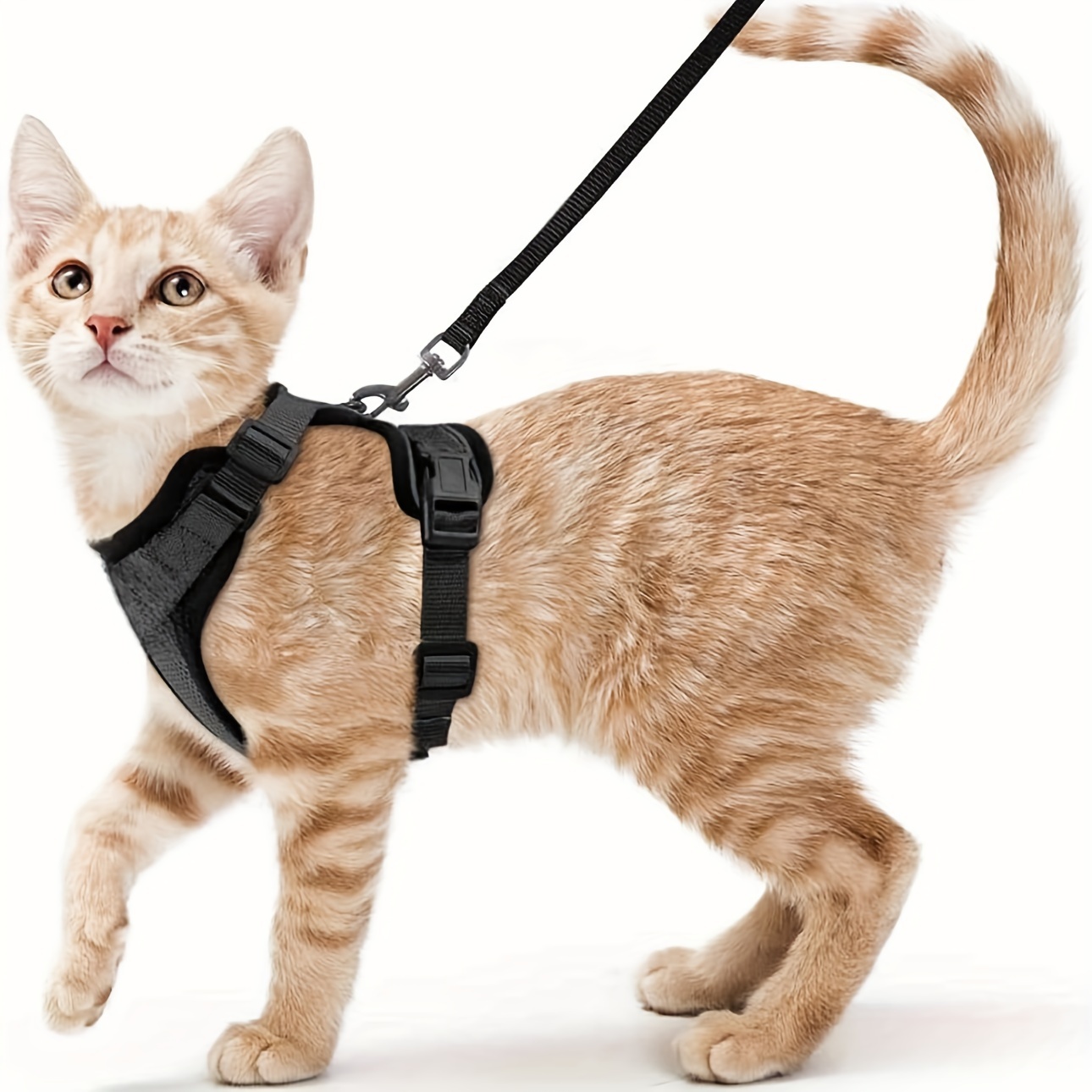 

Adjustable No-escape Soft Vest Cat Harness With Reflective Strips And Breathable Mesh For Easy Control, Polyester Cat Walking Leash And Harness Set, No Choke Design - Target Species Cat - Xs Size