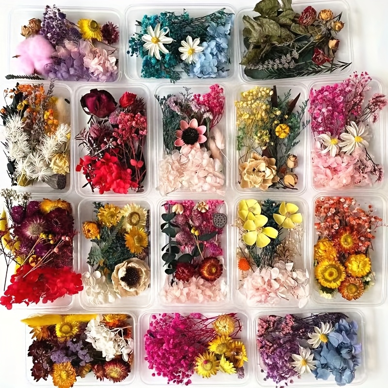 Preserved Flower DIY Kit with 8-10 Flower Types, Photo Frame, Candle, Aromatherapy, Soap, Straw Hat Materials, Gift Set