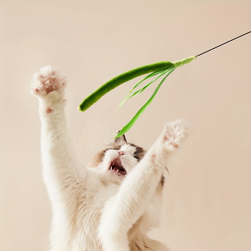 

Toy With A Grass Teaser And A Long Rod For Cats To Play With, Without Battery