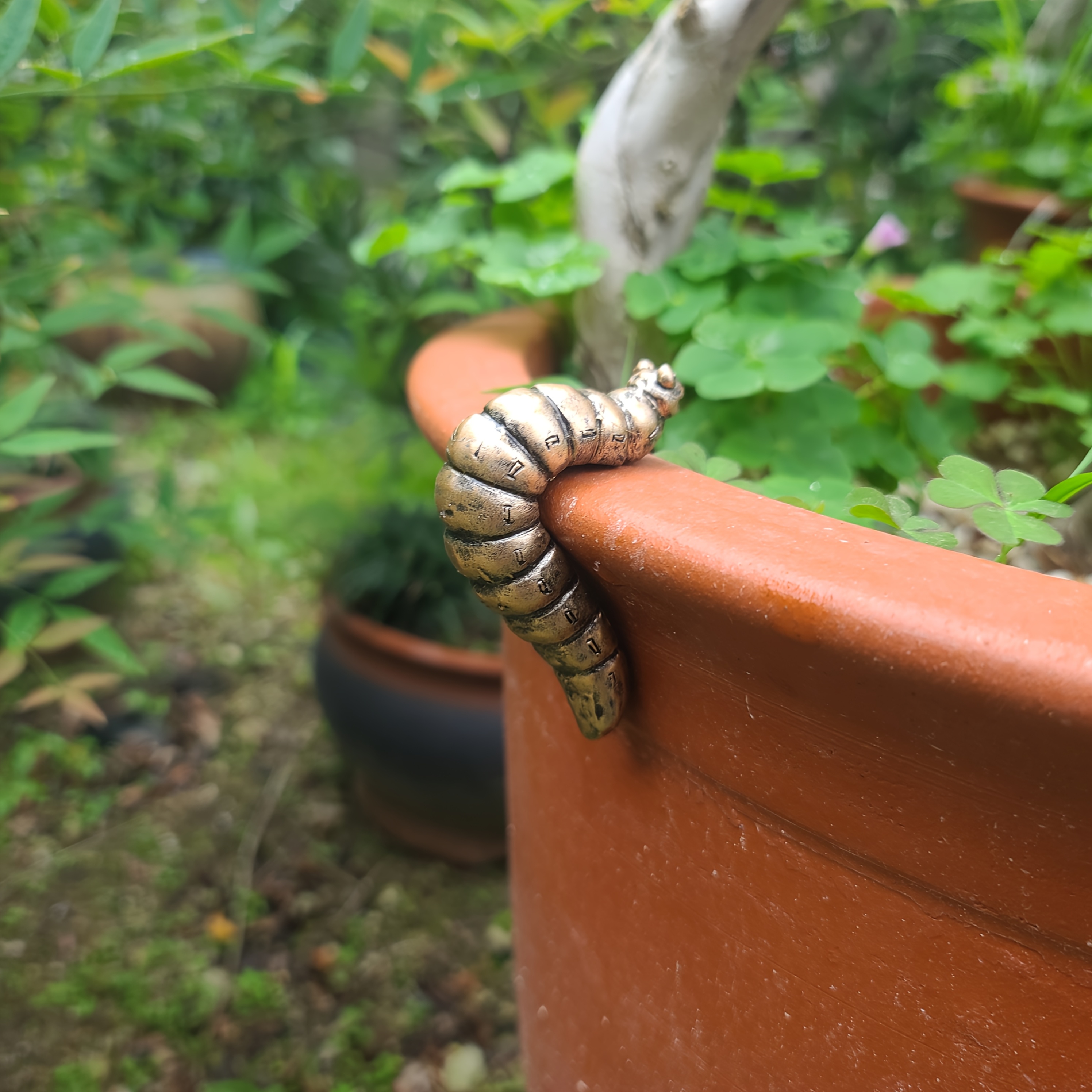 Image of A Whimsical Little Insect Bonsai Statue Hanging Flower Pot - Treated With A Faux Bronze End, Perfect For Home And Garden Decor, An For Halloween, Christmas, Easter, And Thanksgiving