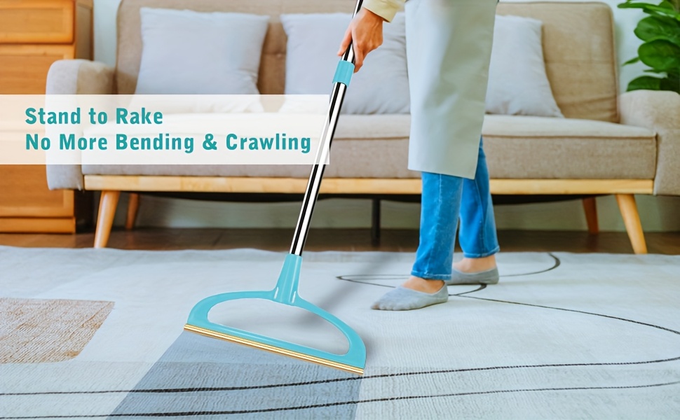 carpet rake for pet hair removal Product details 2