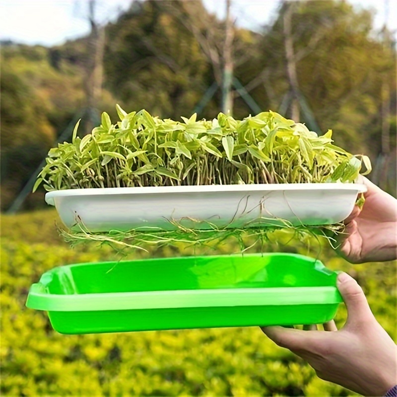 1 set of seed germination trays for   hydroponic soil free seed germinators including trays for     beans   wheat and cat grass with lid Product details 6