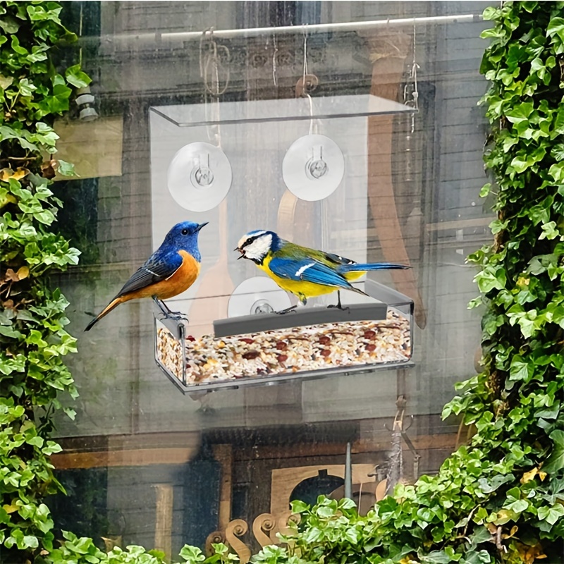Birdious Mangeoire à oiseaux en acrylique transparent avec
