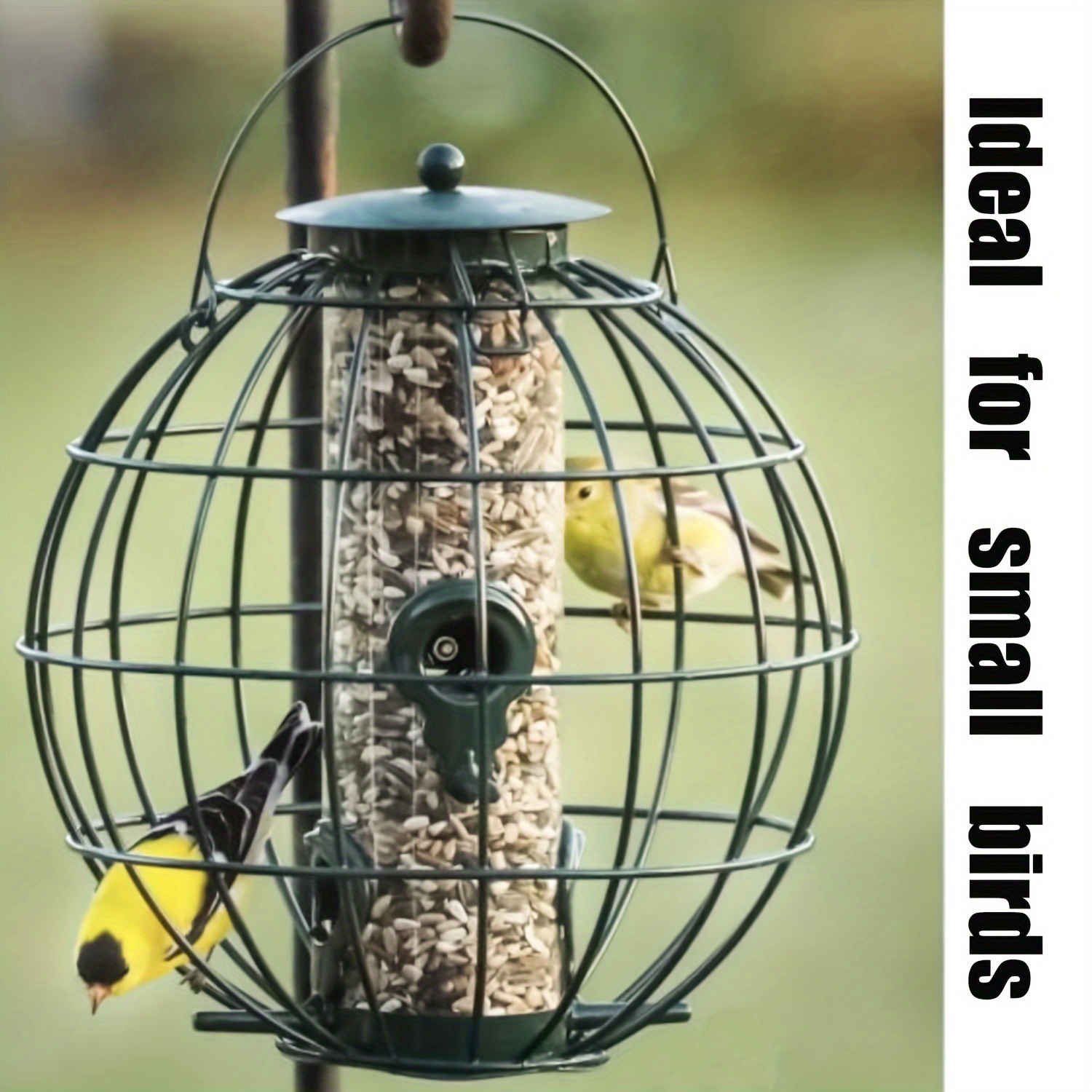 

Iron Alloy Feeder | Hanging Seed Container | For Small And Nuthatches