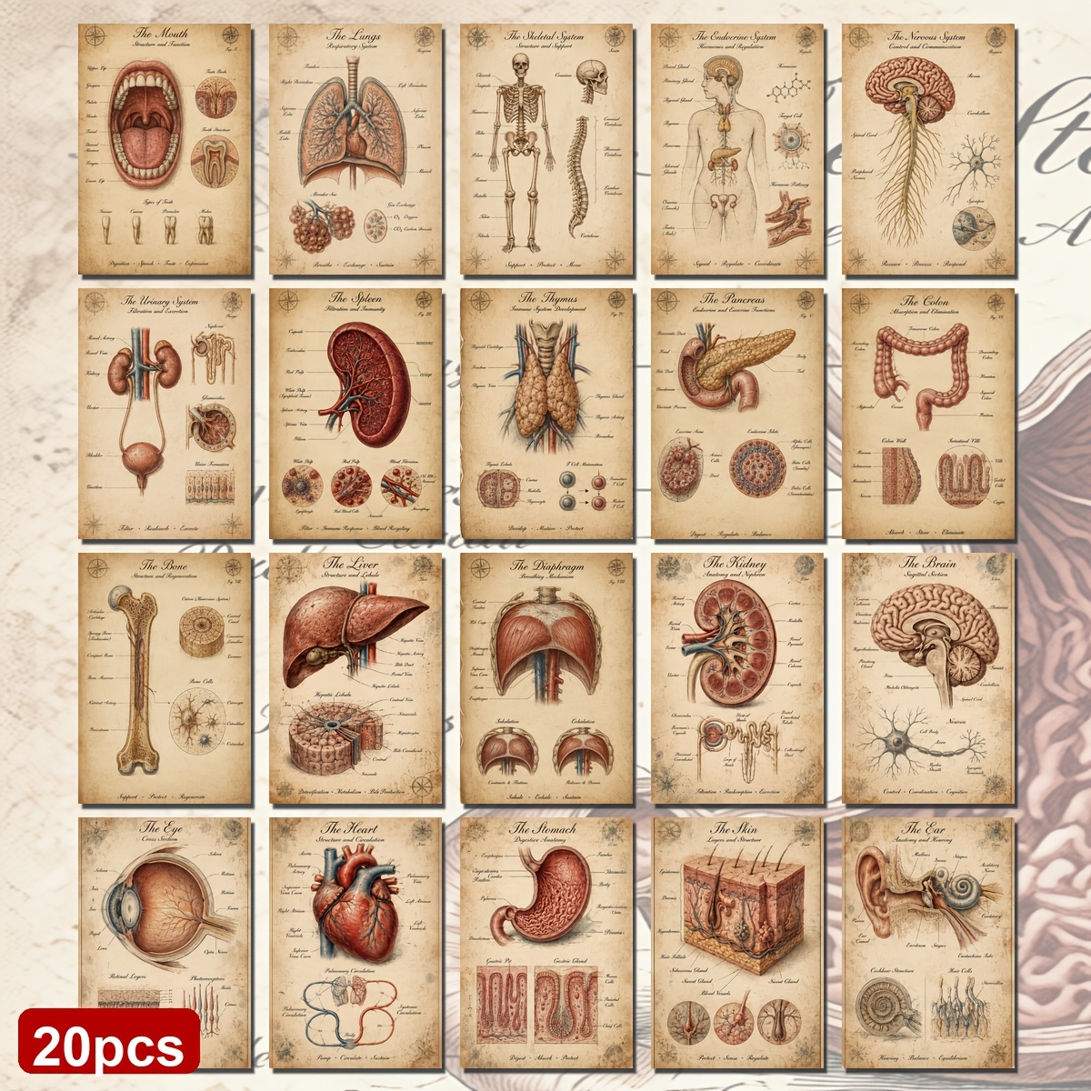 TEMU 20pcs Vintage Academia Style Cards - 10x14.5cm Retro Sketch Illustration Card Pack For Scrapbooking, Junk Journal Paper, Crafting Supplies,