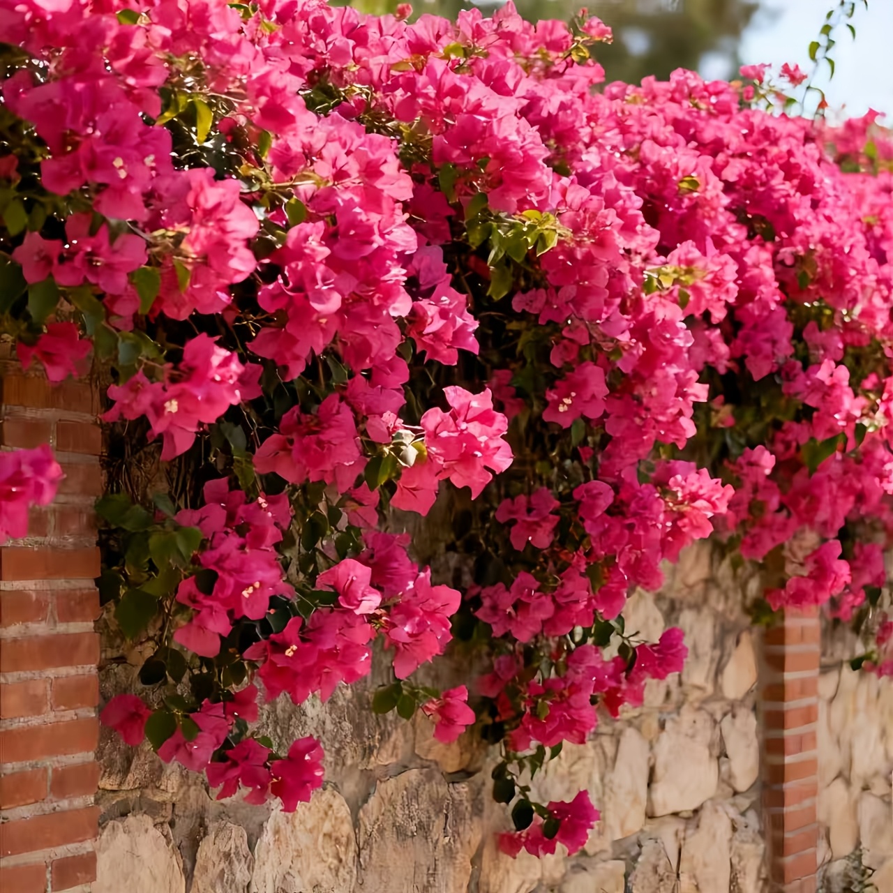 item picture 14 artificial magenta bougainvillea vine wreath branches for outdoor use suitable for home decoration and indoor ideal for weddings garden parties balcony outdoor decor and seasonal decorations flower plate not included