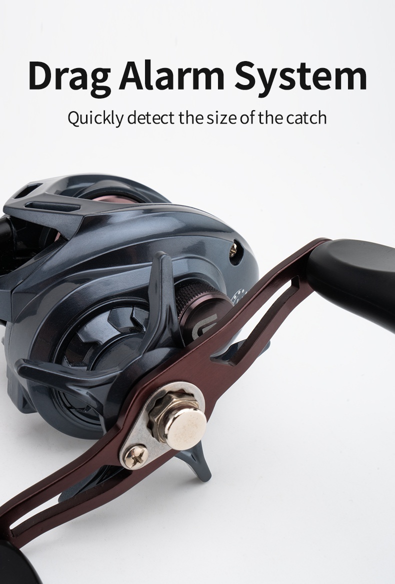 bass shad lures Truscend 6 Pack Swimming – Angler's Club pursue trail for lunkers Rod & Reel Combos Pennsylvania Fishing Report – Color:Willy Falcon