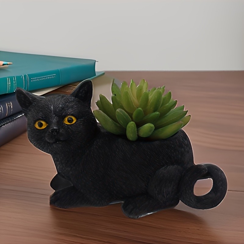 Pianta succulenta in vaso personalizzabile gadget idea regalo