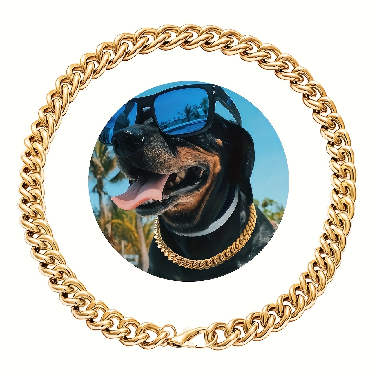 franzsische bulldogge zubehr - Temu Deutschland