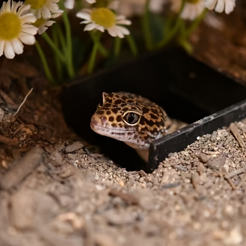 

Hideaway Tunnel Shelter, Plastic Reptile & Hiding Corner Cave, With Ramp And Viewing Area For Crab, Frog, Lizard