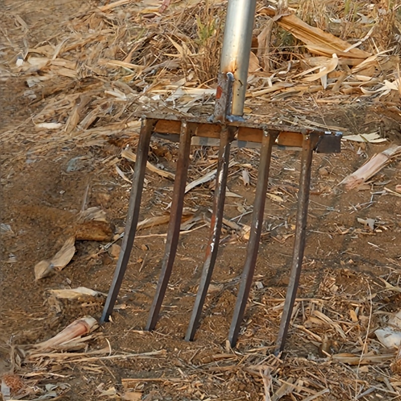 1 ginger fork steel shovel a tool for turning the soil a soil loosening and digging tool a five tooth   steel integrated   digging fork without a handle suitable for turning soil weeding and harvesting