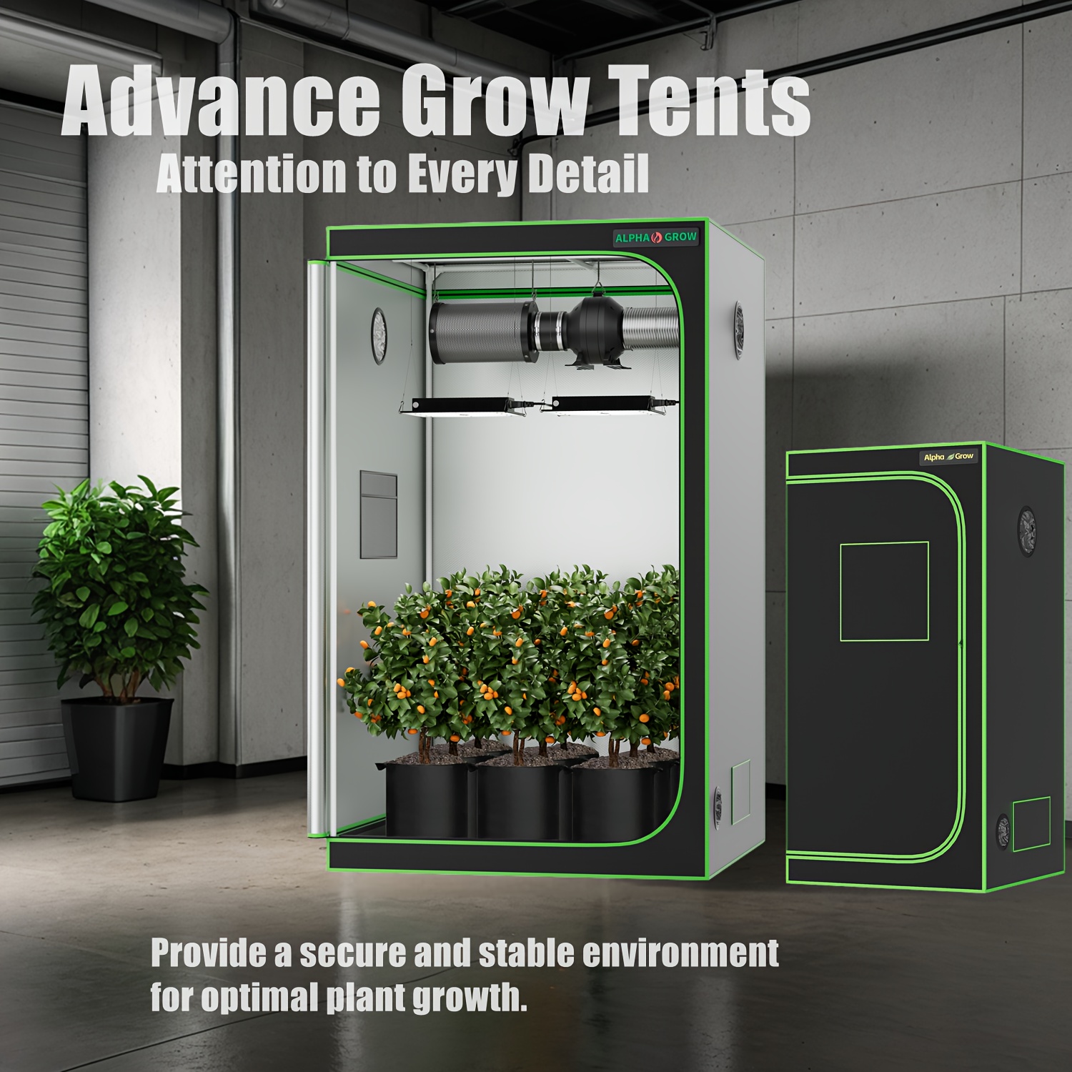 2x2 3x3 4x4ft grow tent observation - Temu