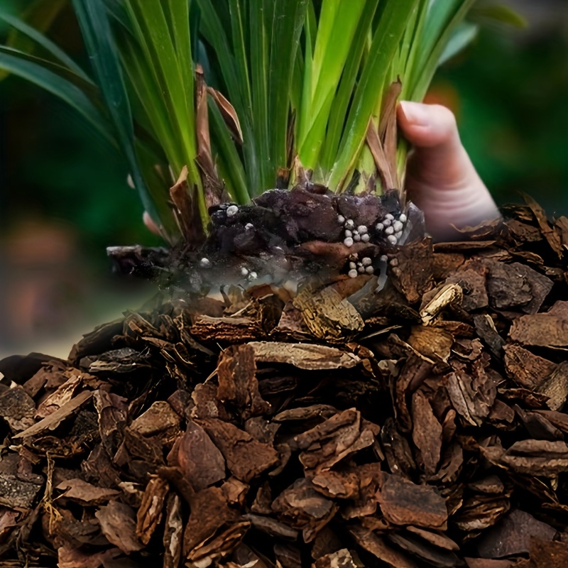8/16* Pine Bark Orchid Bark Mulch, for Garden Mulch and Indoor Orchid  Potted Plants