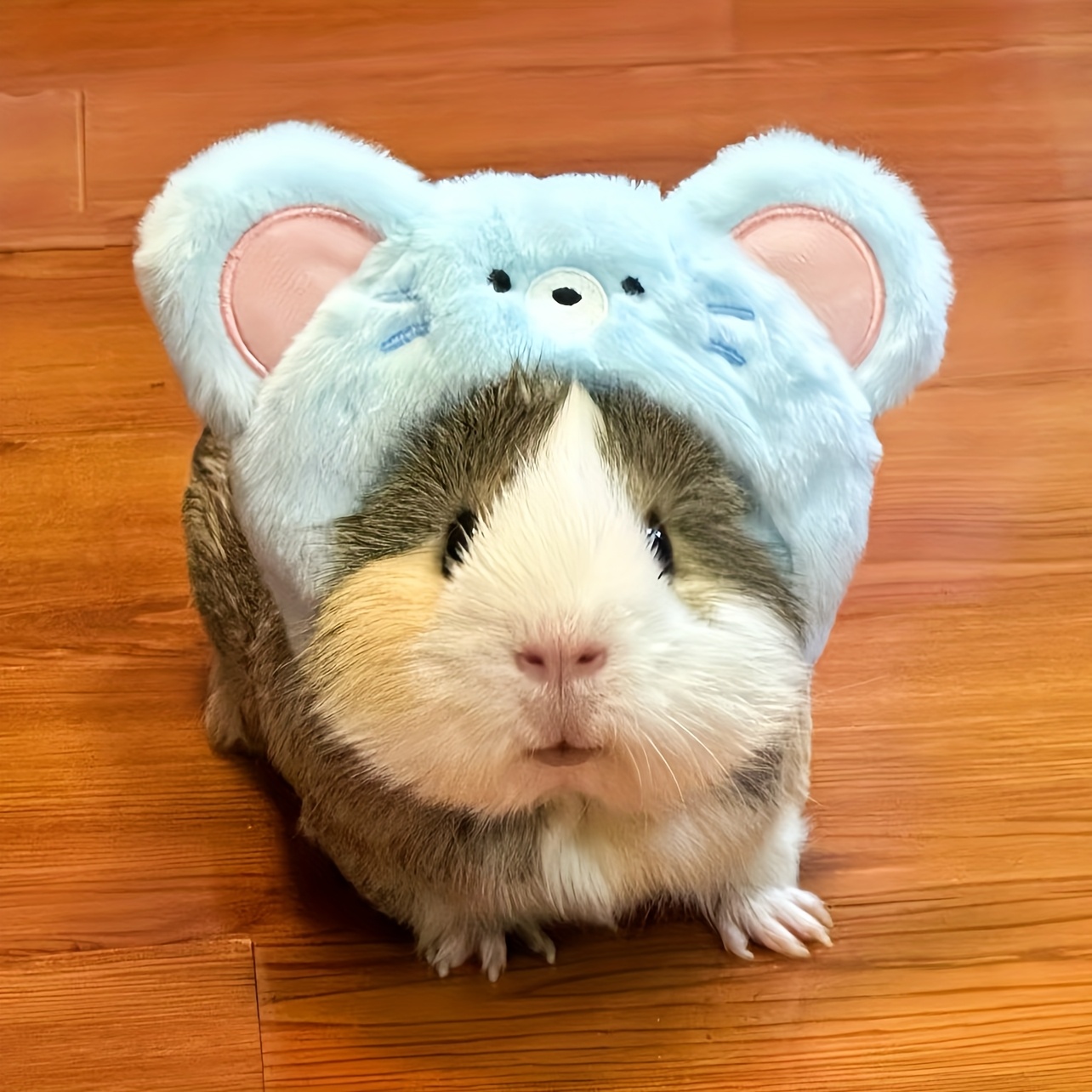 1pc, Cartoon Headgear, Suitable for Guinea Pigs, Dutch Pigs, Small Rabbits, Small Pets, Choose According to Size, Winter Warm, Cute for Photos