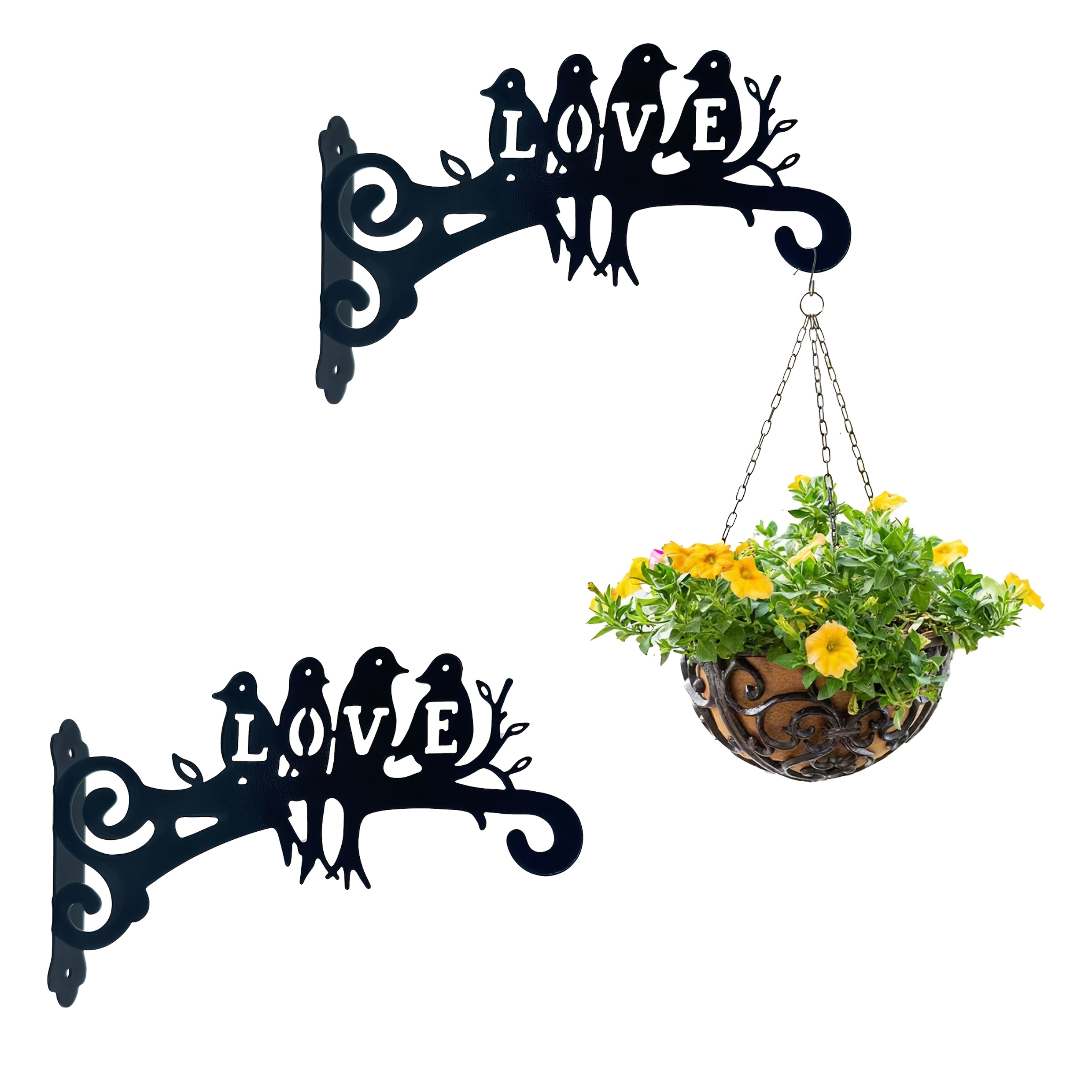money plant vine Epipremnum aureum 'Money Plant' (2ft. Cocostick)  Lifestyle@SingSeeSoon By  Kava Experiences