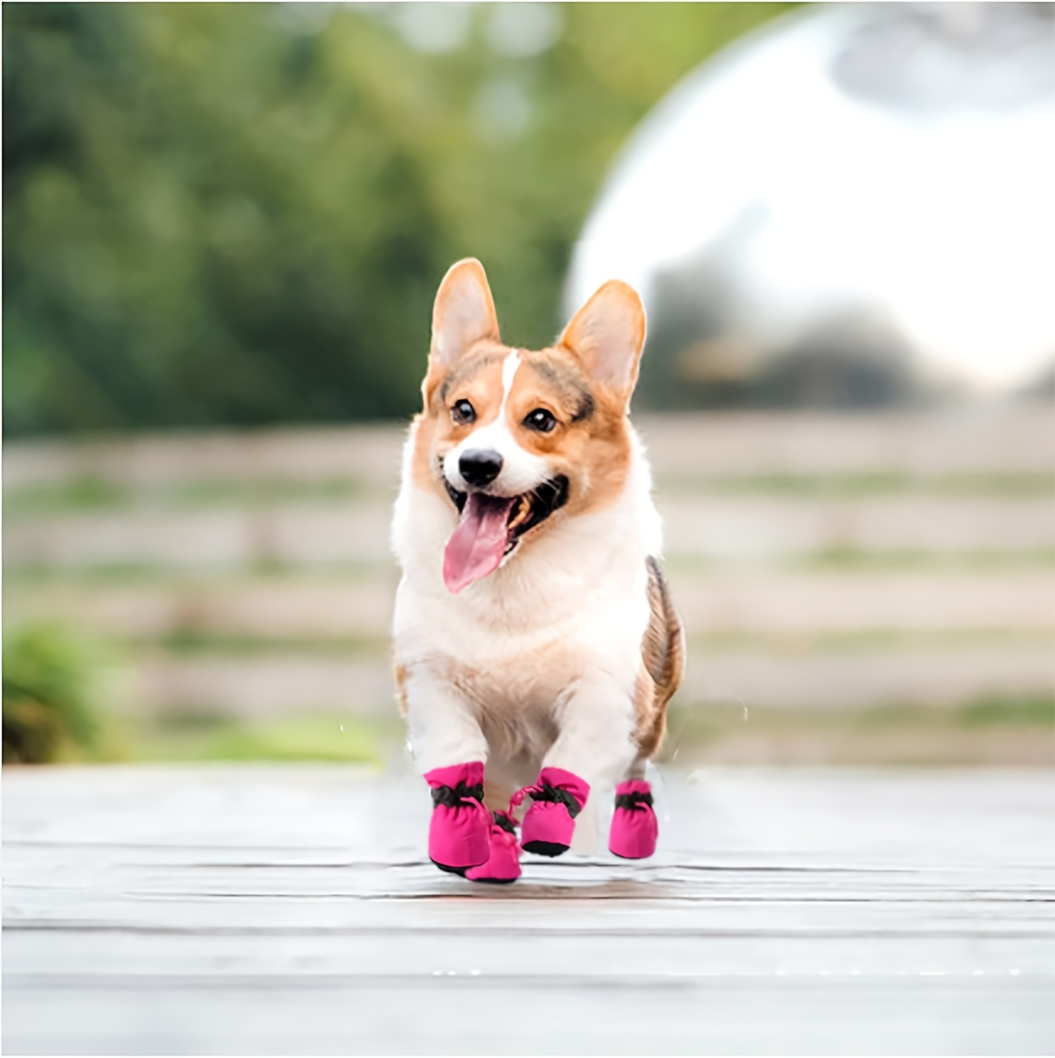 4pcs dog rain boots anti skid shoes dog Temu United Arab Emirates
