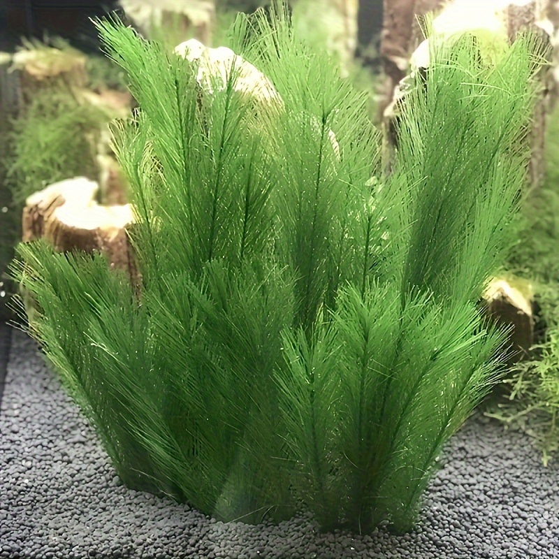 

Realistic Green Seagrass Aquarium Decor - Durable Abs Plastic, Perfect For Fish Tank Landscaping