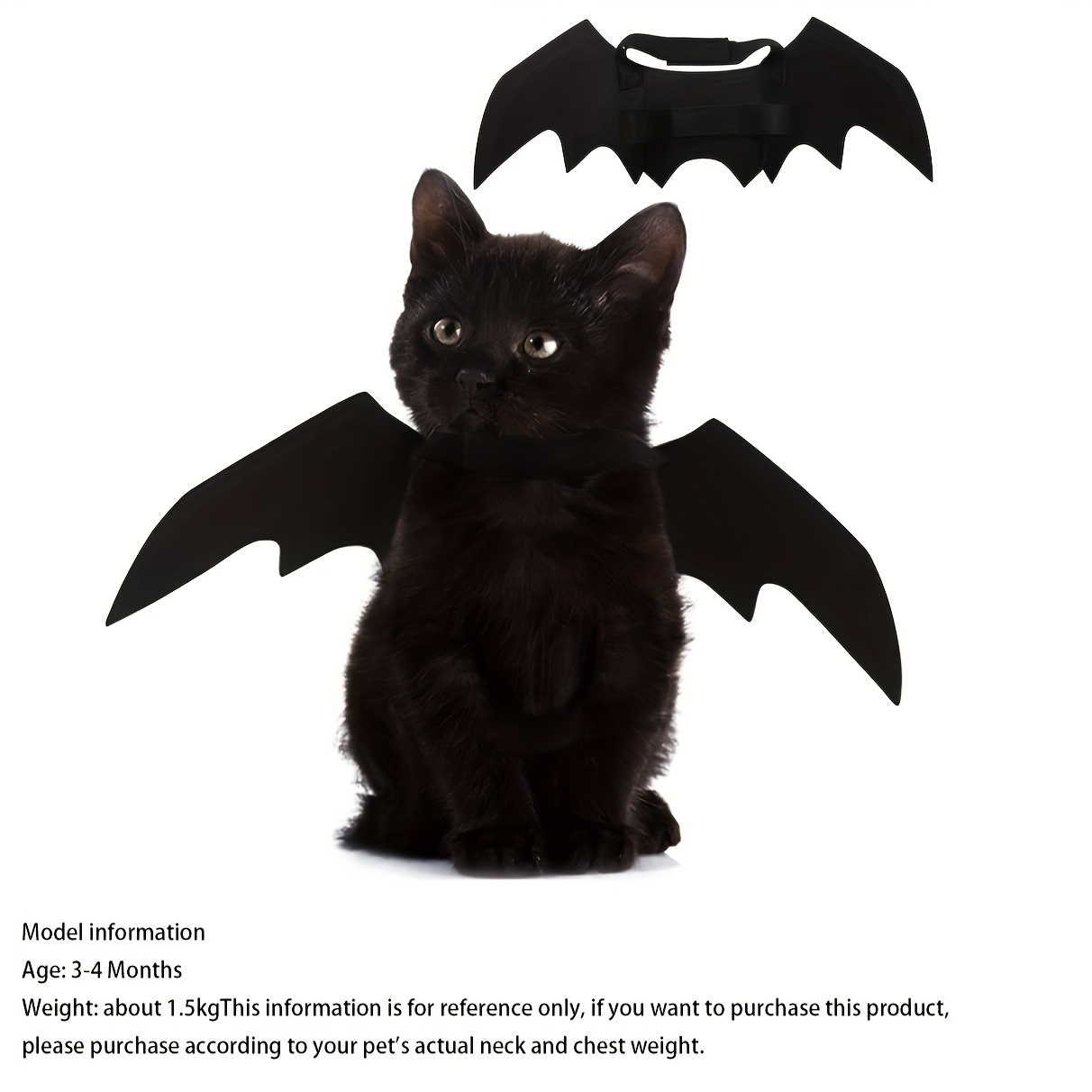 

Up Pet Halloween Adorable Bat !