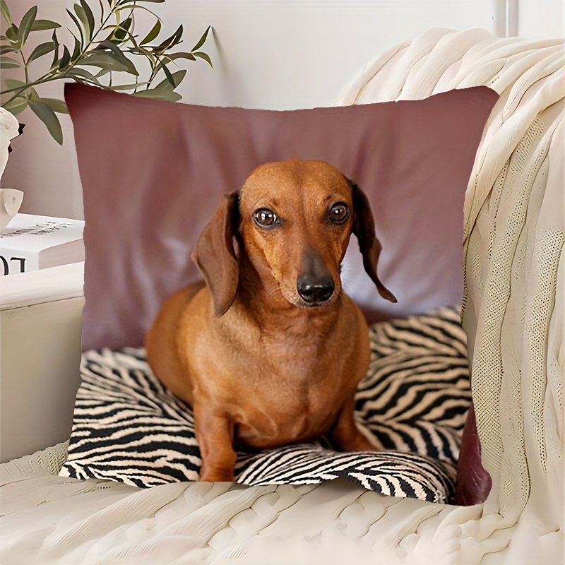 

Jit Contemporary 1pc Short Plush 18x18 Throw Pillow Cover Zipper Closure, Dachshund Design, Machine Washable, Decorative For Bedroom, Sofa, Living Room - Polyester (cover Only)