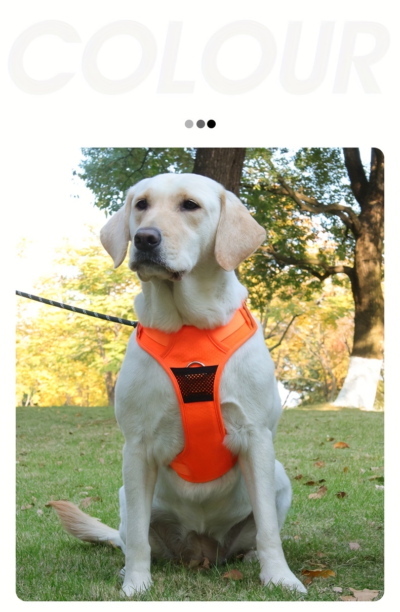 pet chest strap with massage point dog chest back soft breathable mesh cloth design comfortable not stuffy can also be outdoor traction suitable for medium and large dogs reflective strip design can also travel safely at night details 5