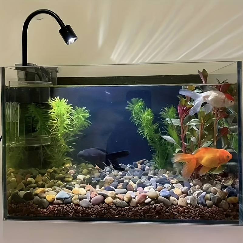 1000g/500g/300g/200g/100g Piedras de Arroyo - Guijarros y Grava Mixtos, Adecuados para Paisajismo de Acuarios, Decoración de Jardines, Relleno de Jarrones - Piedras Decorativas Multicolor para Interior/Exterior, Rocas Decorativas para Acuarios, Decoración de Interiores, Piezas Decorativas