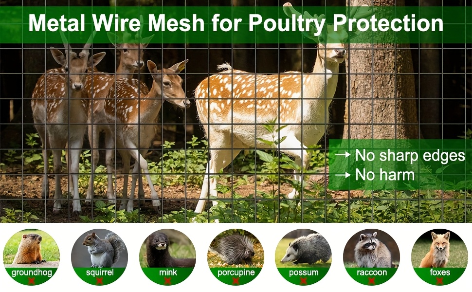 Close-up of Wire Mesh Fencing