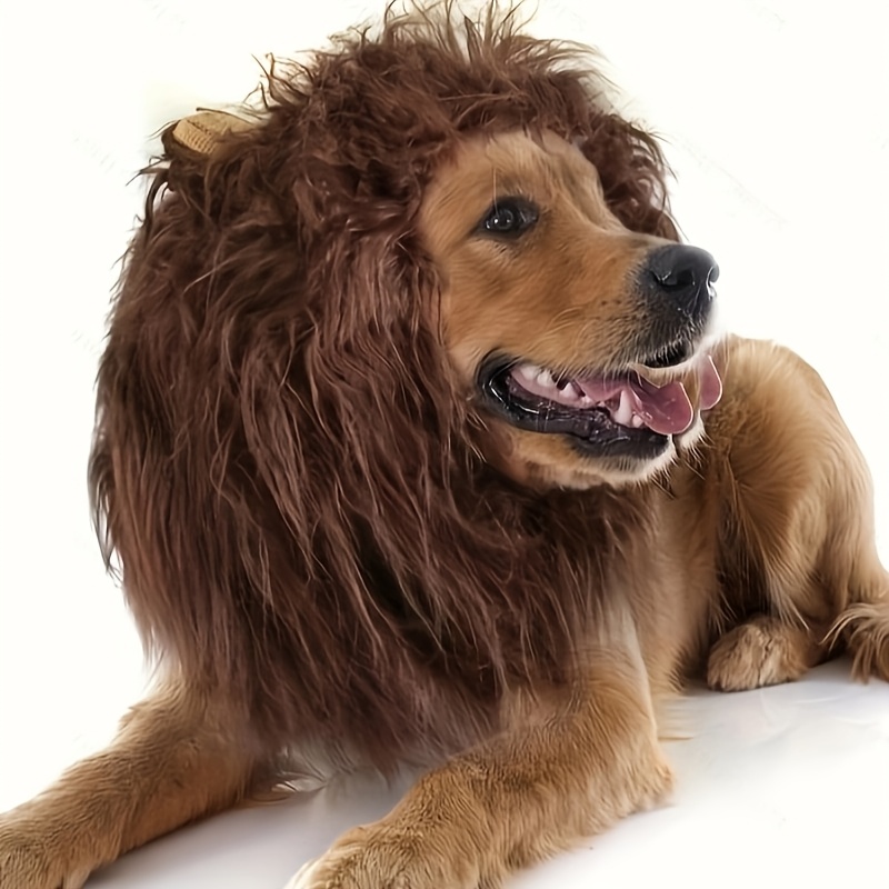 dogs in wigs sold on Temu Australia