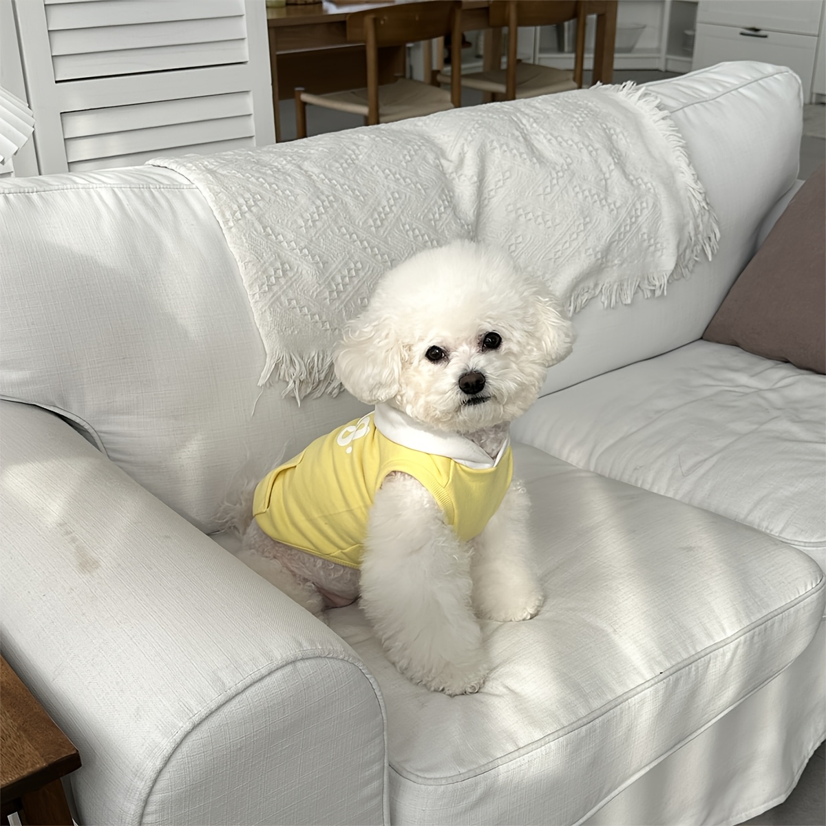 1pc of small to medium sized pet clothing for cats and dogs a sleeveless hooded vest for dogs a dog hoodie and cat apparel clothes soft and comfortable suitable for     daily wear Product details 4