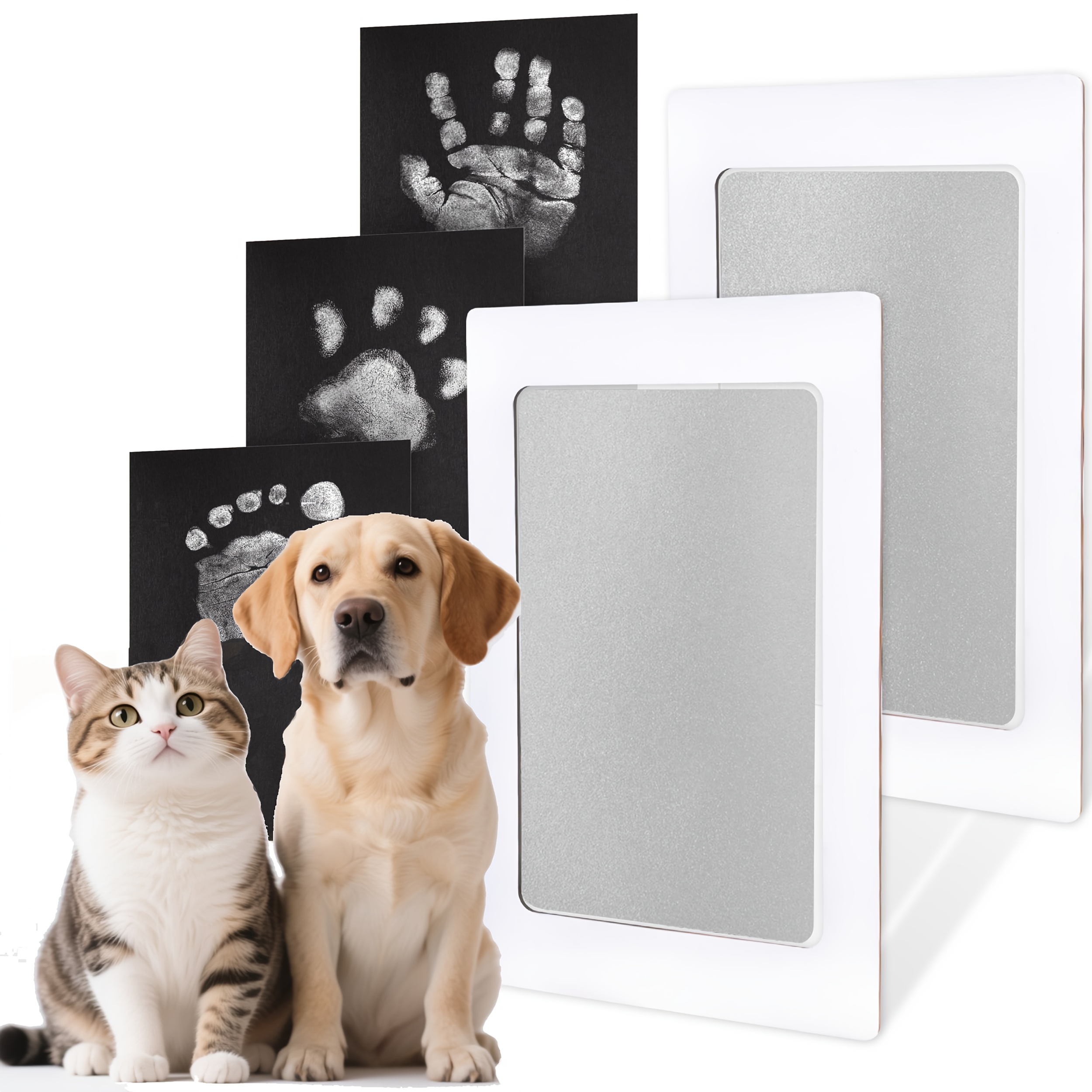 Clay Paw Print Holder Pet Memorial Shadow Box With Clay Paw Print Kit ...