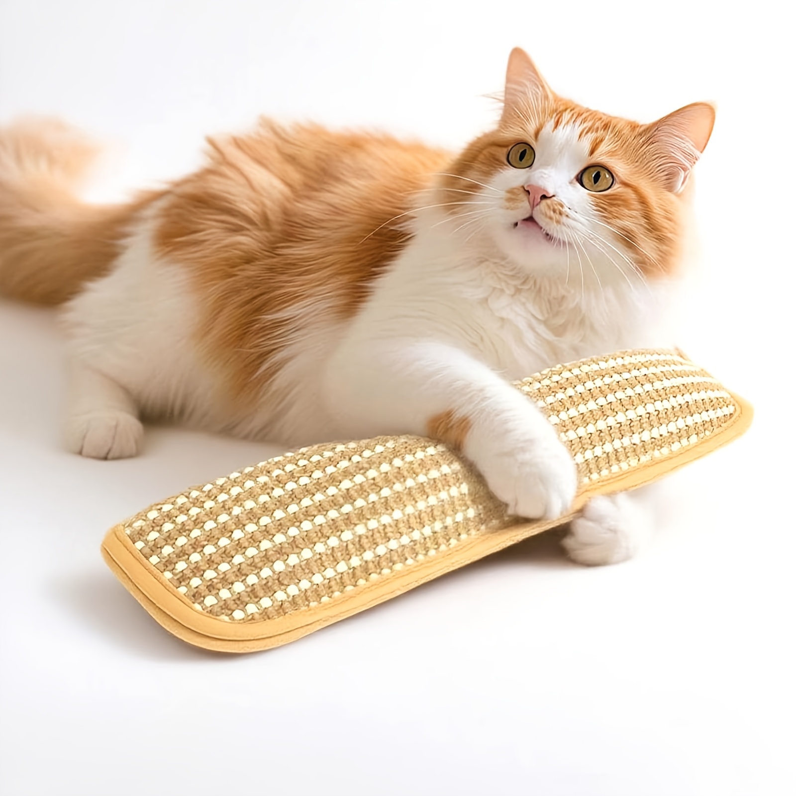 katze befriedigen wattestäbchen Rollige Katze beruhigen: 6 Tipps | FRESSNAPF main image 1
