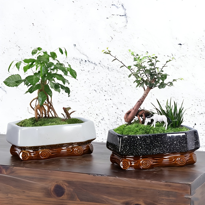 bonsai pots sold on Temu United States