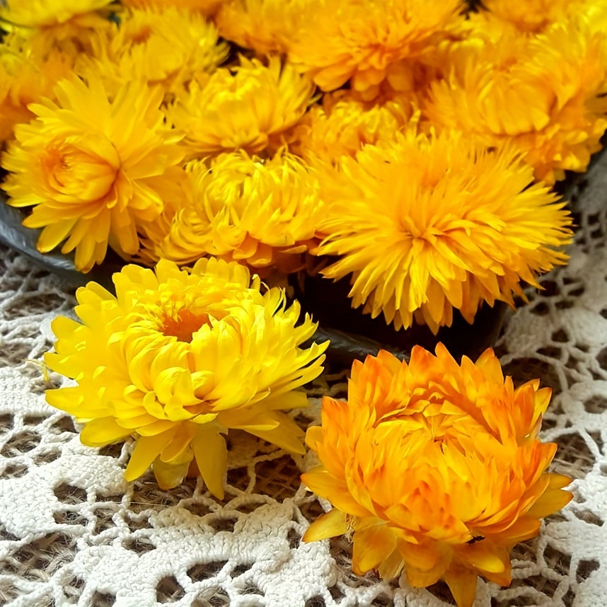 

50/100pcs Yellow Dried Flower Daisy Bouquet Chrysanthemum Dry Flower For Vase Home Decor Party Diy Arrangement Wheat Straw Bulk, Home Decor, Scene Decor, Theme Party Decor