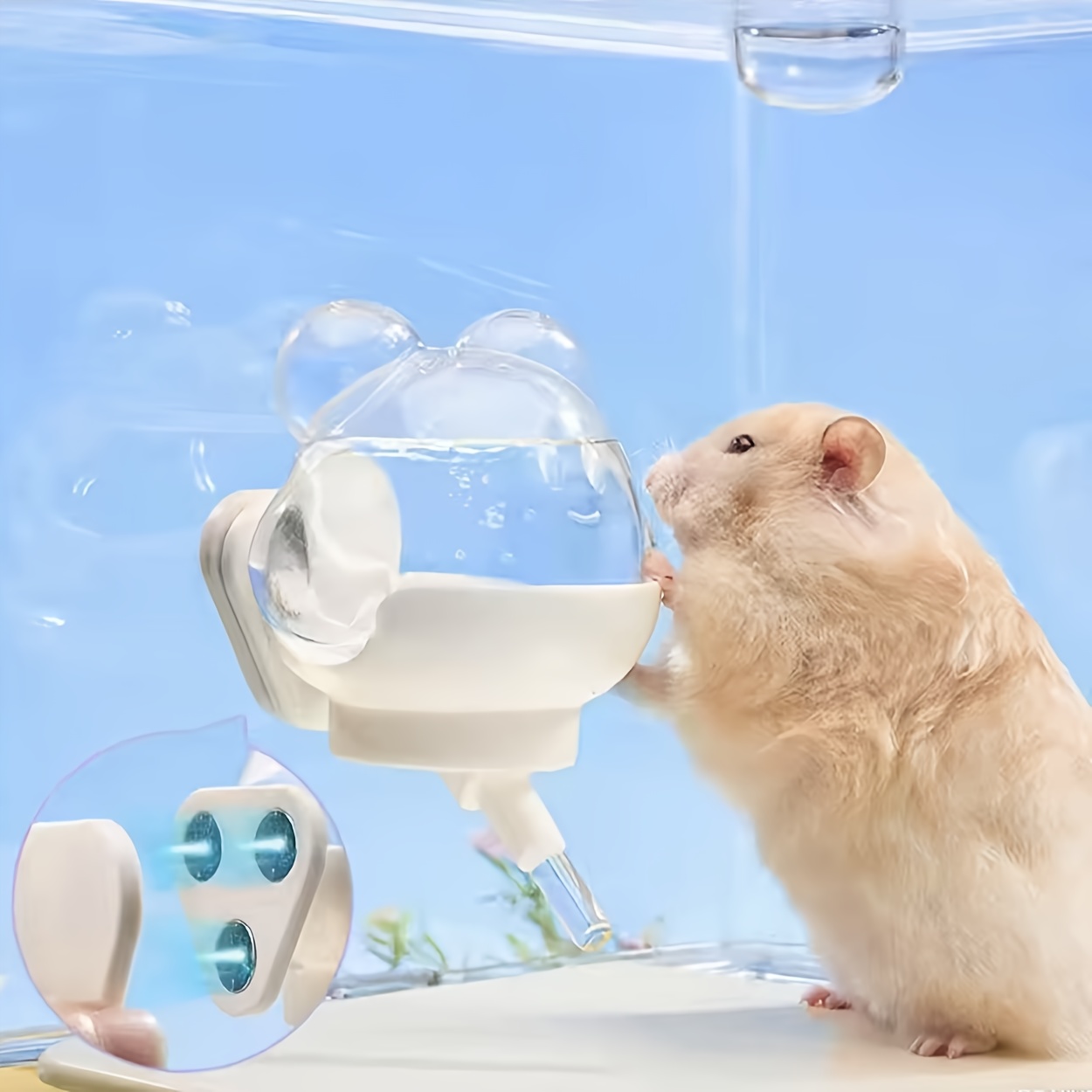hamster water bottle Cyprus