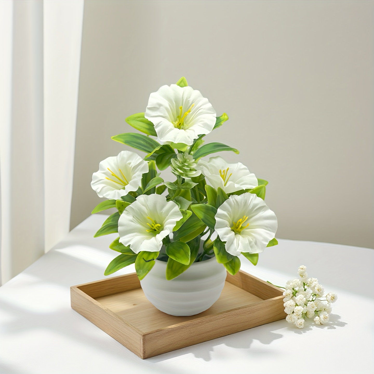 1/6 Set Morning Glory bloemen met pot