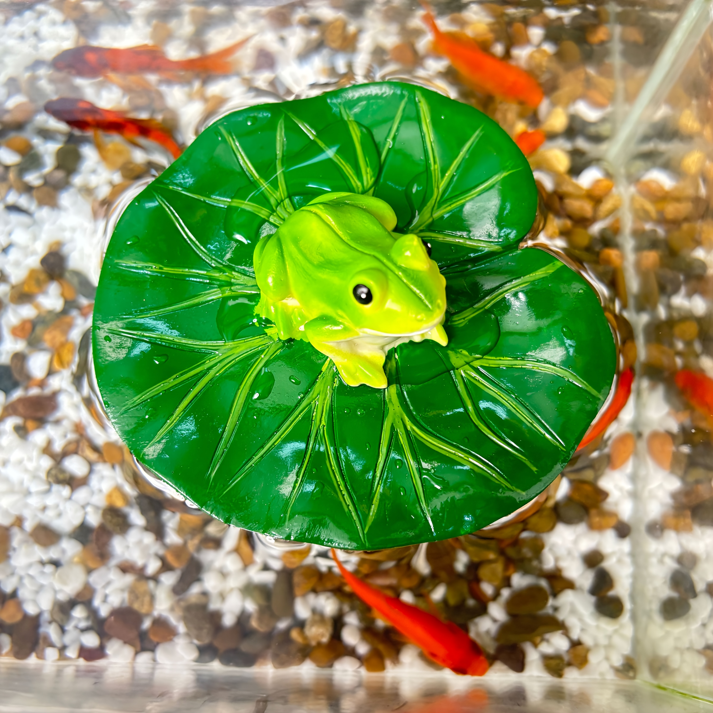TEMU 1pc-resin Frog Statue Floating On A For Lotus Leaf, Suitable For Decorating Gardens, Swimming Pools, , And Flower Pots