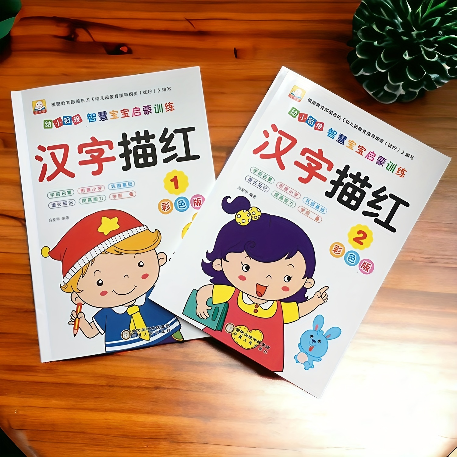 

Set Of 2 Chinese Character Tracing Workbooks - 48 Pages Each, Thick Paper, Color Printing