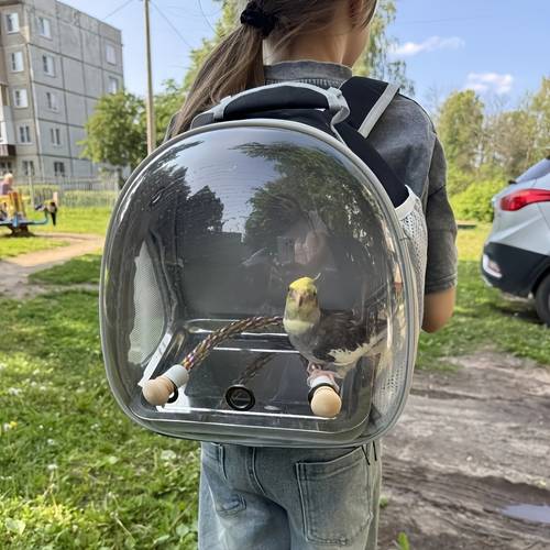 kleines vogel-reise-rucksack-träger-käfig - robuster schwarz mit metall-tablett-ständer, reißverschluss-schließung, ideal für papageien, kakadus und sperlinge - für tierarztbesuche und outdoor-abenteuer, outdoor-haustierträger | stilvolles rucksack-design | sichere reißverschluss-schließung