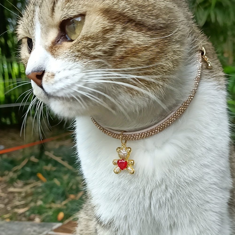 Chain collar for cats best sale