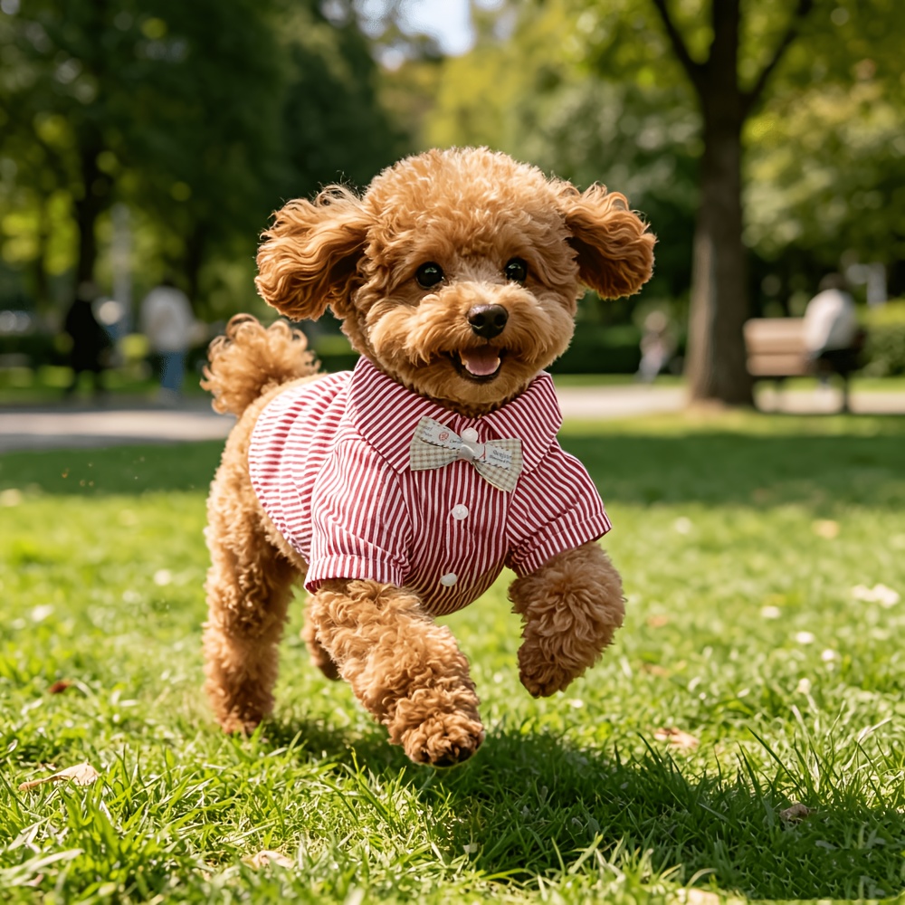 TEMU 1pc Striped Bow Tie Pet Shirt, Thin Casual Button-up Dog Suit, Suitable For Teddy Bear Teddy Dolls Daily And Parties