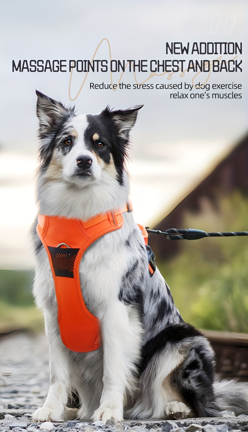 pet chest strap with massage point dog chest back soft breathable mesh cloth design comfortable not stuffy can also be outdoor traction suitable for medium and large dogs reflective strip design can also travel safely at night details 0