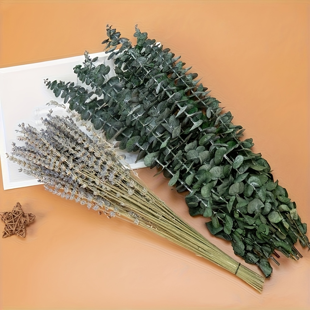Image of 57pcs Dried Flower Pampas Bouquet Boho Home Vase Room Living Seasonal Decor Dry Flowes Chic Wedding Party Decoration Festival Gift