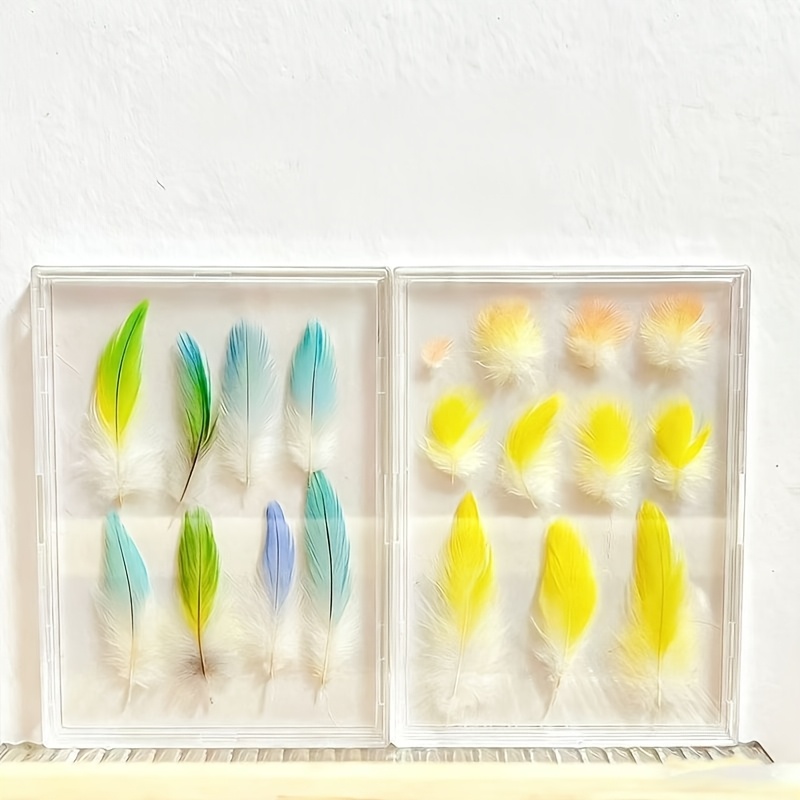 Pet Bird Feather Keepsake Display Box, High-Definition Transparent - Elegant Memorial Box to Preserve the Warmth of Your Pet. Suitable for Budgerigars, Cockatiels, Lovebirds, and Various Other Bird Feather Collections. A Durable Frame for Bird