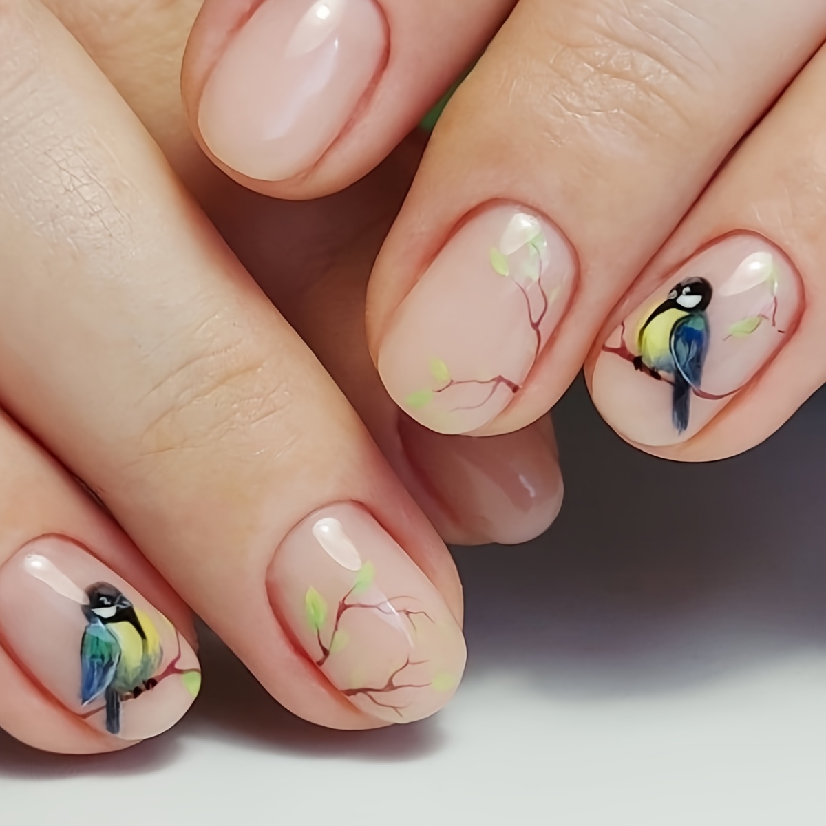 24pcs Short Square-shaped Press-on Nails Featuring Bird And Branch Designs, Accompanied By Jelly Glue And A Nail File, Suitable For Women' Gatherings And Festive Occasions